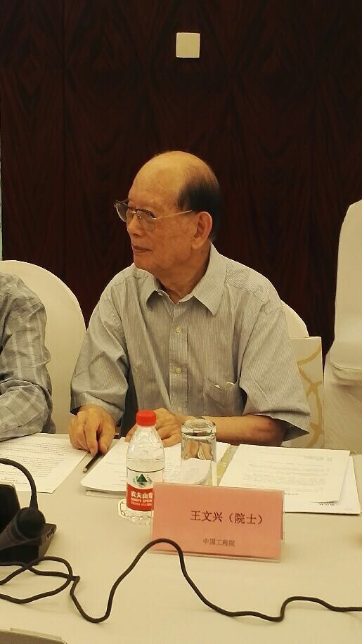 中國工程院院士王文興